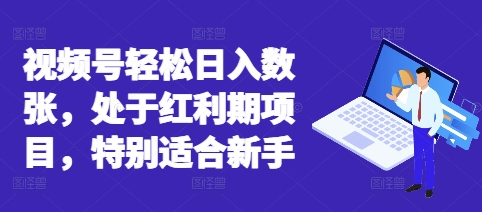视频号轻松日入数张,处于红利期项目,特别适合新手-轻创终点站